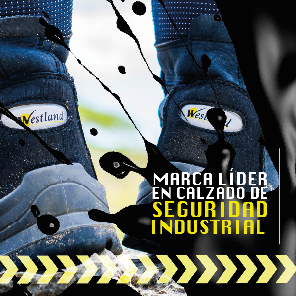 Banner-Web-Mobile-600pxX600px-Marca-Lider.webp