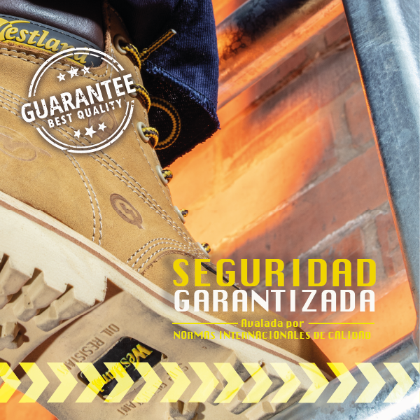 Banner-Web-Mobile-600pxX600px-Seguridad-Garantizada.webp