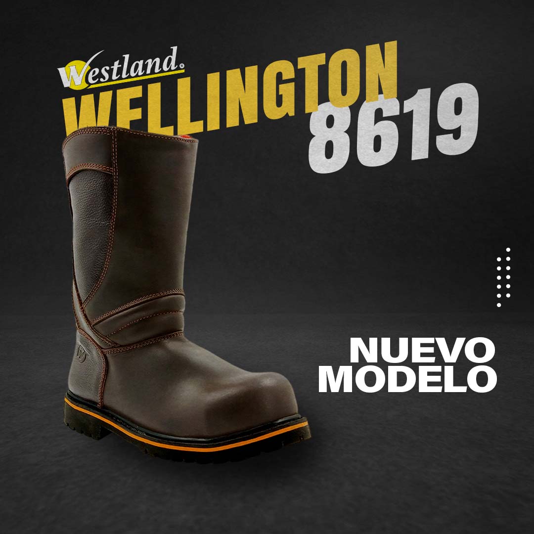 8619 Profile